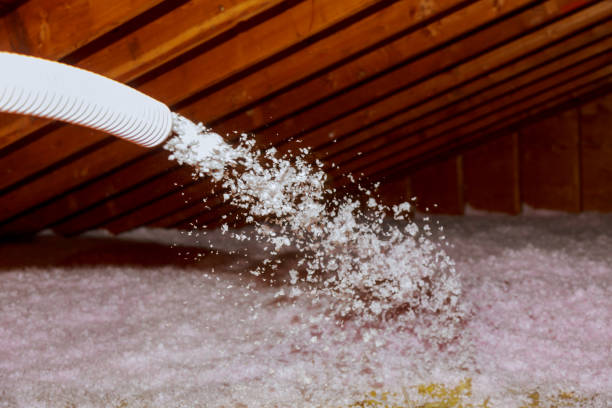 Best Residential Insulation in Wrightsville, GA