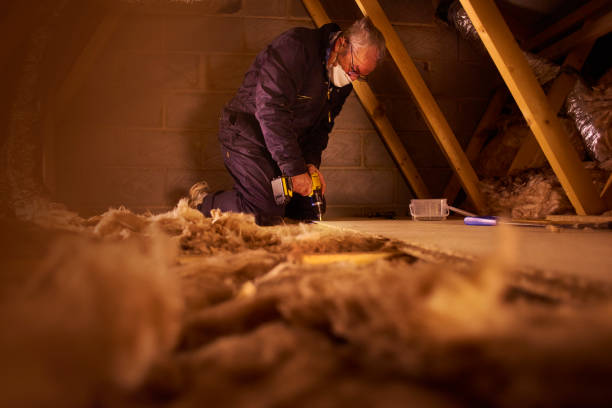 Best Insulation Installation Services in Wrightsville, GA