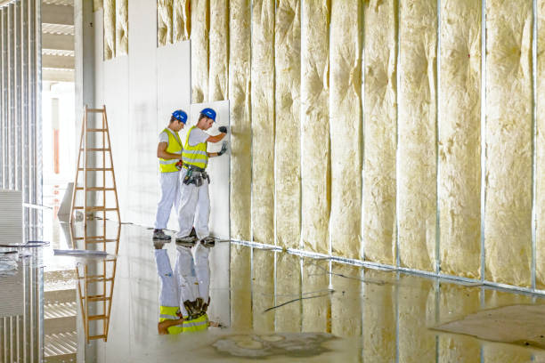 Best Commercial Insulation in Wrightsville, GA